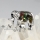 double elephant seawater rainbow abalone mother of pearl silver filled brass finger rings jewelry