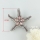 pink oyster shell rainbow abalone shell rhinestone starfish star fish teardrop flower brooch mother of pearl jewelry