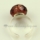 european crystal beads free size finger rings jewelry