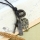 genuine leather copper openwork heart pendant adjustable long necklaces