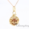 essential oil jewelry diffuser necklace wholesale perfume locket essential oil necklaces design F